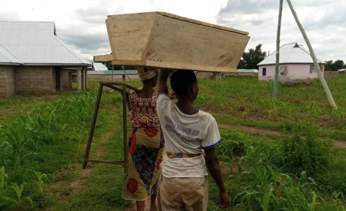 farming-sanitary pad