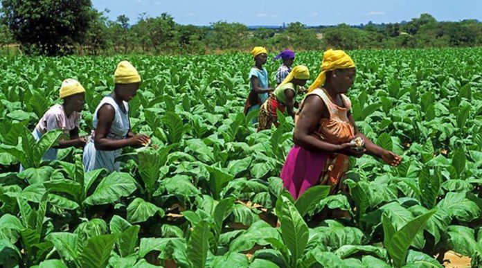 Women in Agric