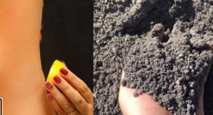 lime and ash (Copy)