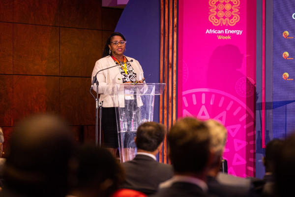 Unlocking Namibia's Oil and Gas Potential: Insights from African Energy Week (AEW) 2023 Presentation by Namcor