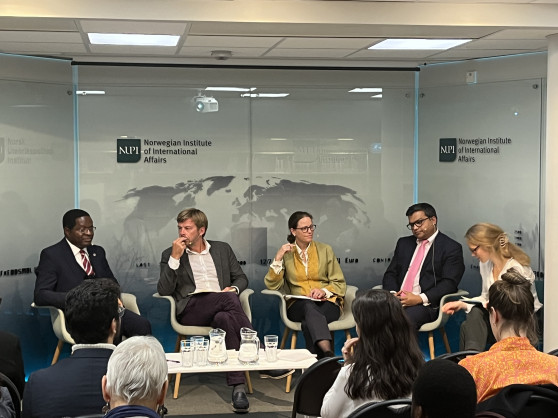 African Development Bank Group Chief Economist Kevin Chika Urama urges Nordic and Irish entrepreneurs in to make Africa their business and investment destination