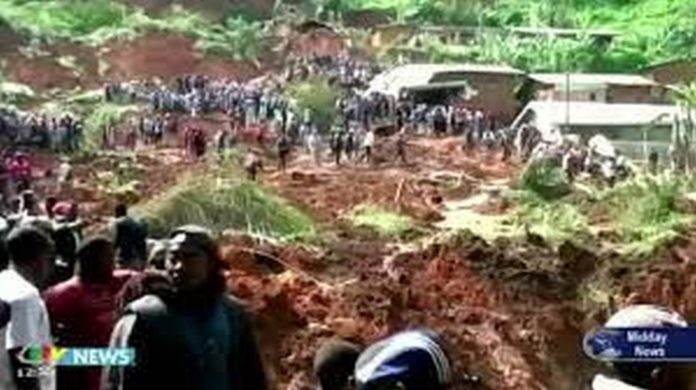 cameroon (Copy)