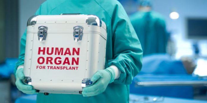 human-organ-750x375_1680x840