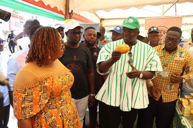 Agric Minister and Hawa Koomson