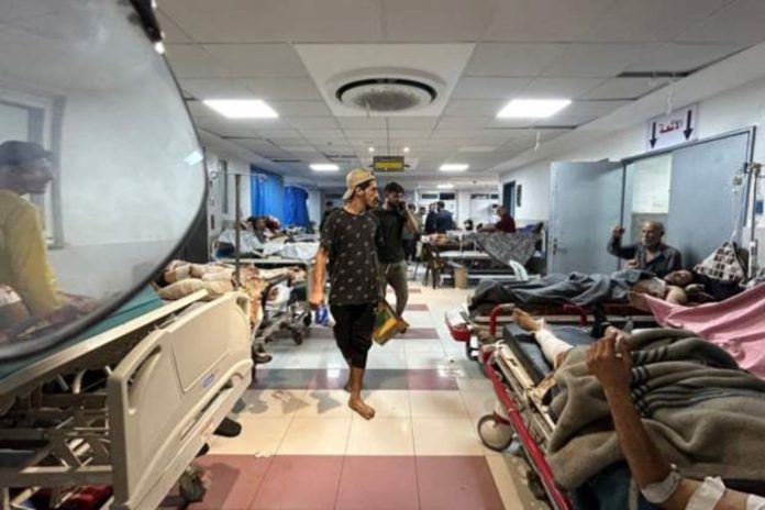 Gaza (1)