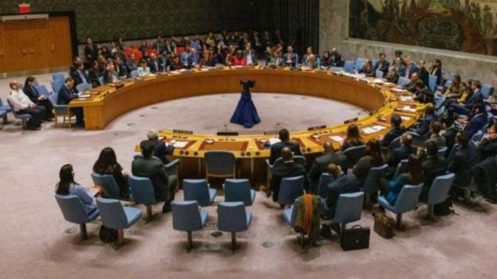 Israeli envoy UN security council (1)