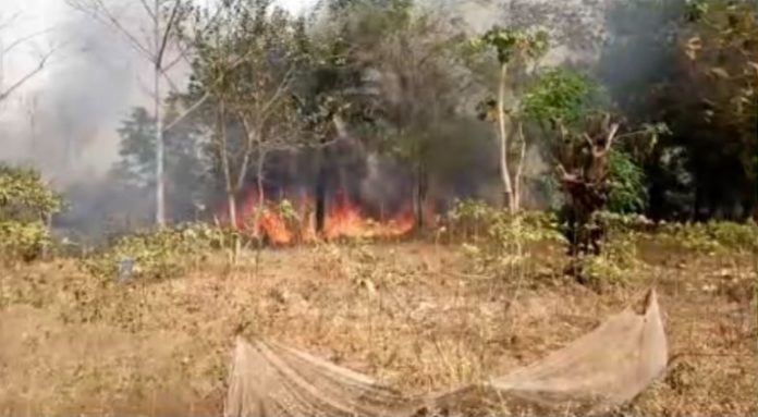 bushfires-770x424
