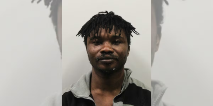 Ghanaian man that killed mother-of-three in accident in UK indicted