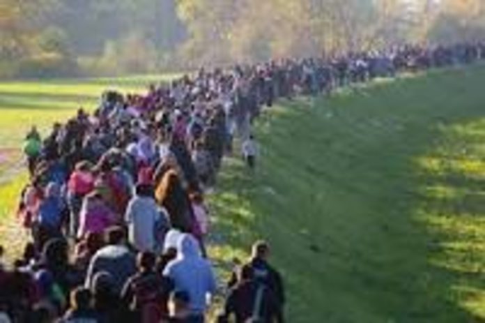 migrants