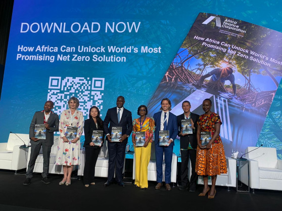 Africa Must Own Carbon Offsets Value Chain Amid Market Failures