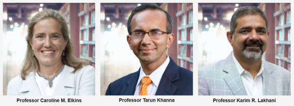 Harvard Professors to Lead 7-Week Online Course for Africa's Aspiring Entrepreneurs
