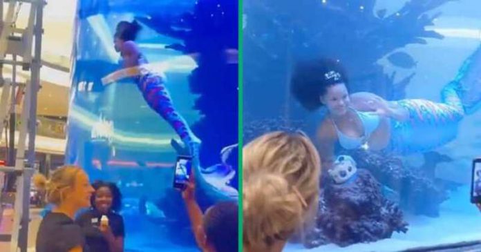 Nokukhanya the Mermaid had everyone holding their breath when her tail got stuck in Cresta Mall's aquatic tank. Photo credit: @Nokukhanya.the_mermaid_sister.
