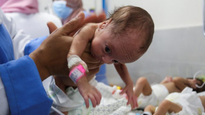Gaza Premature babies
