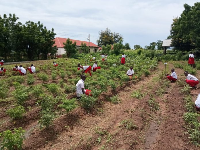 Northern College of Science and Technology named best Agric Institute