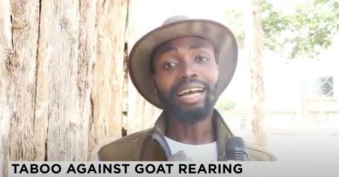 Fredrick-Benneh-Frimpong- Goat Berekum