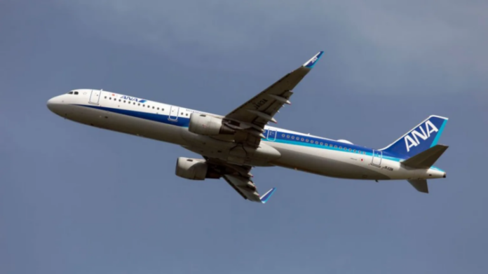 Japan flight