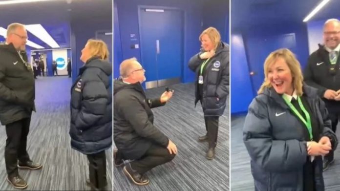 Malcolm Bashford and Candice Konig both work at Brighton & Hove Albion's Amex Stadium
