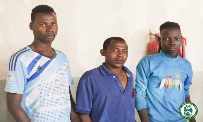 Suspected Nigerian drug peddlers