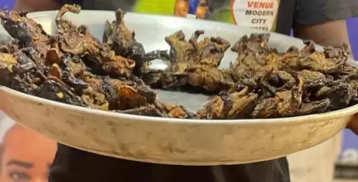 cook a thon frogs