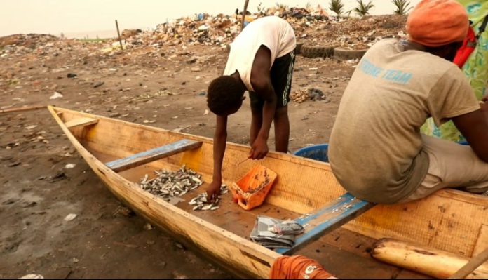 Angloga_fish_market1-739x424