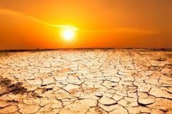 Heatwave (1)