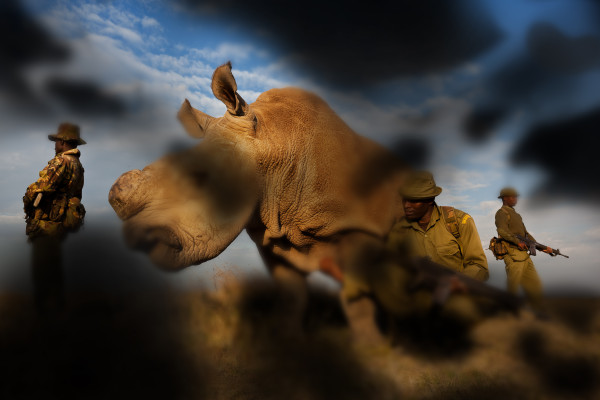 The Photography Exhibition You Don’t Need to See: Canon launches World Unseen at Somerset House