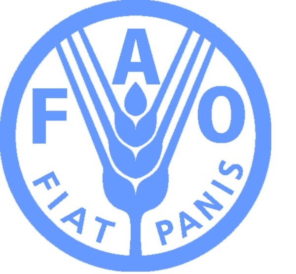 “The future of Africa’s agrifood sector is bright”