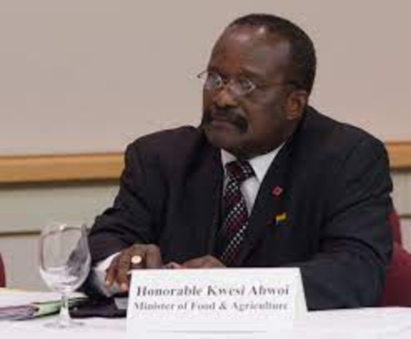 Akwesi Ahwoi (1)