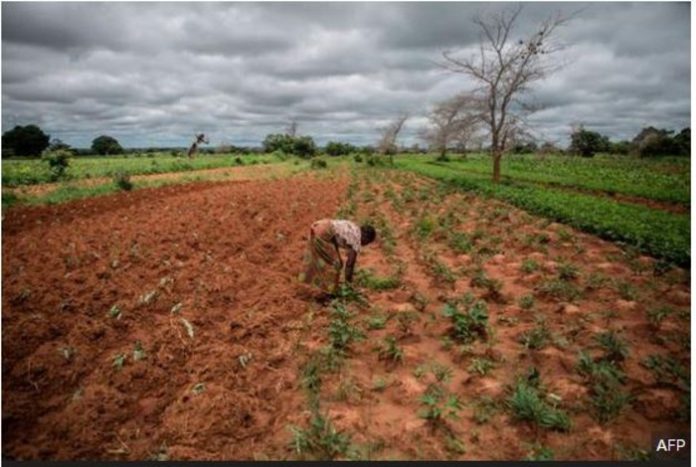 Zambia has been experiencing poor rain across the country (1)