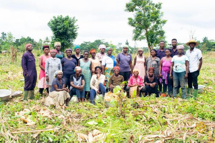 women in agric