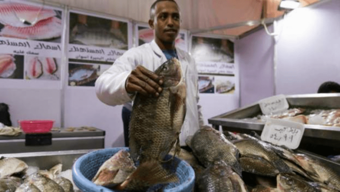 Fish Egypt (1)