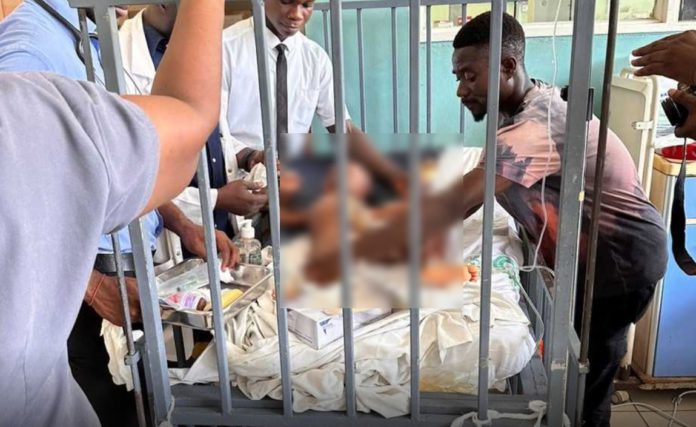 Baby injured after dog attack Photo Credit: 3news.com
