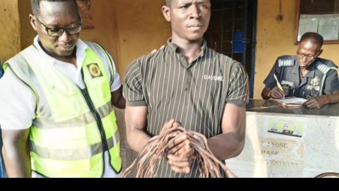 cable thief