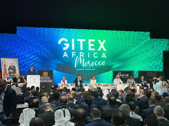 Transforming Egypt's Business Future: Harnessing Technology and Innovation for Unprecedented Growth