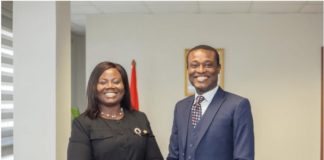 Maame Yaa Tiwaa Addo and Special Prosecutor (OSP