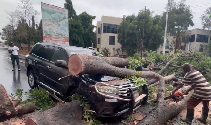 1 in critical condition as tree falls on motorbike after heavy rains