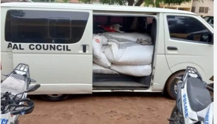 cocoa smuggling