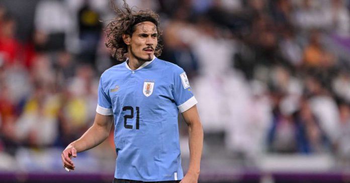 cavani_ozxcic3aa7ng18dr6027t4674