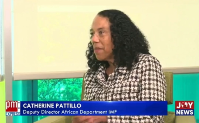 Deputy Director of the Africa Department at the International Monetary Fund (IMF), Catherine Pattilo Deputy Director of the Africa Department at the International Monetary Fund (IMF), Catherine Pattilo