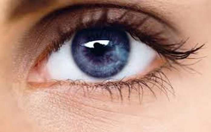 https://www.zeiss.com.sg/vision-care/eye-health-and-care/ https://www.zeiss.com.sg/vision-care/eye-health-and-care/