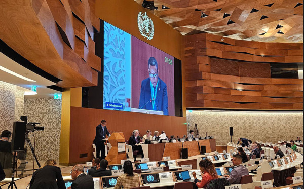 Eritrea Participates at 77th World Health Assembly