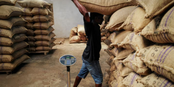 Ghana Cocoa Ghana Cocoa