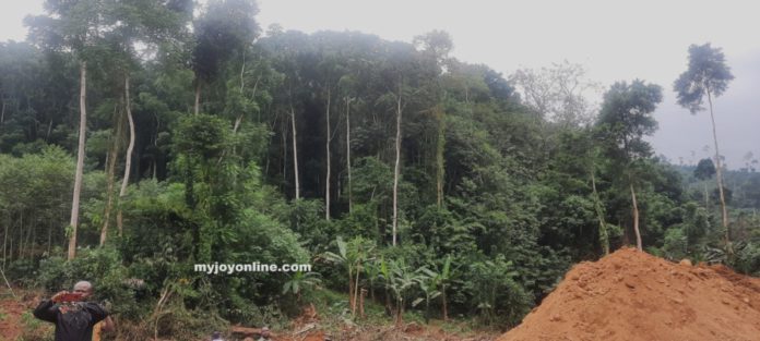 Portion-of-the-Bosomtwe-Range-Forest-Reserve-destroyed Portion of the Bosomtwe Range Forest Reserve destroyed through illegal mining operations
