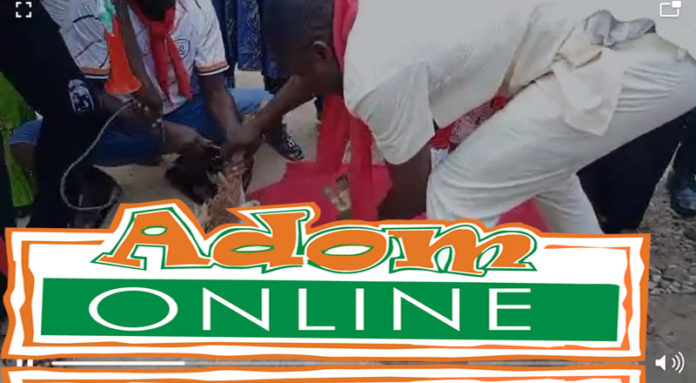 NDC curses NPP candidate