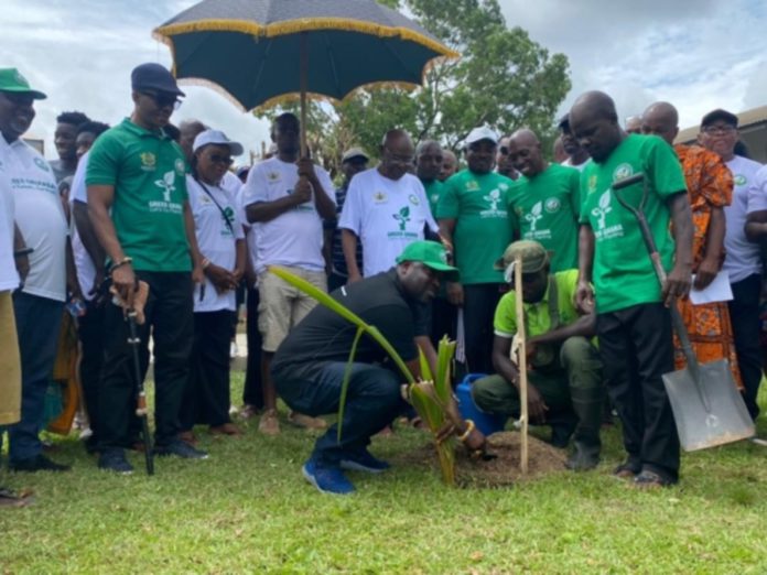 Togbega-Gabusu-VII-planting-a-tree-565x424
