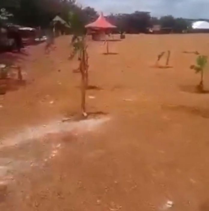 Mankranso youth turn football field into farm in protest against govt's delayed AstroTurf project