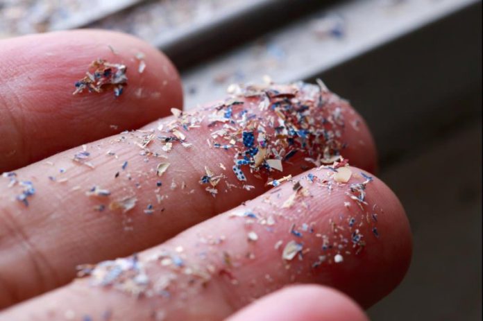 Microplastics discovered in human penises for the first time