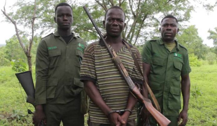 46 yrs old teacher arrested at Mole National Park for poaching