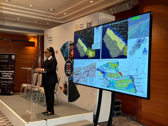 Liberia Showcases Upstream Investment Opportunities at Invest in African Energy Reception in London