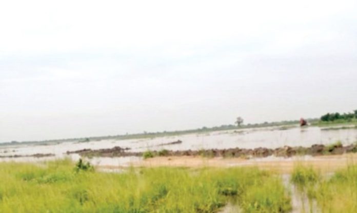 The flooded rice field at Mepe-Adudornu (1)